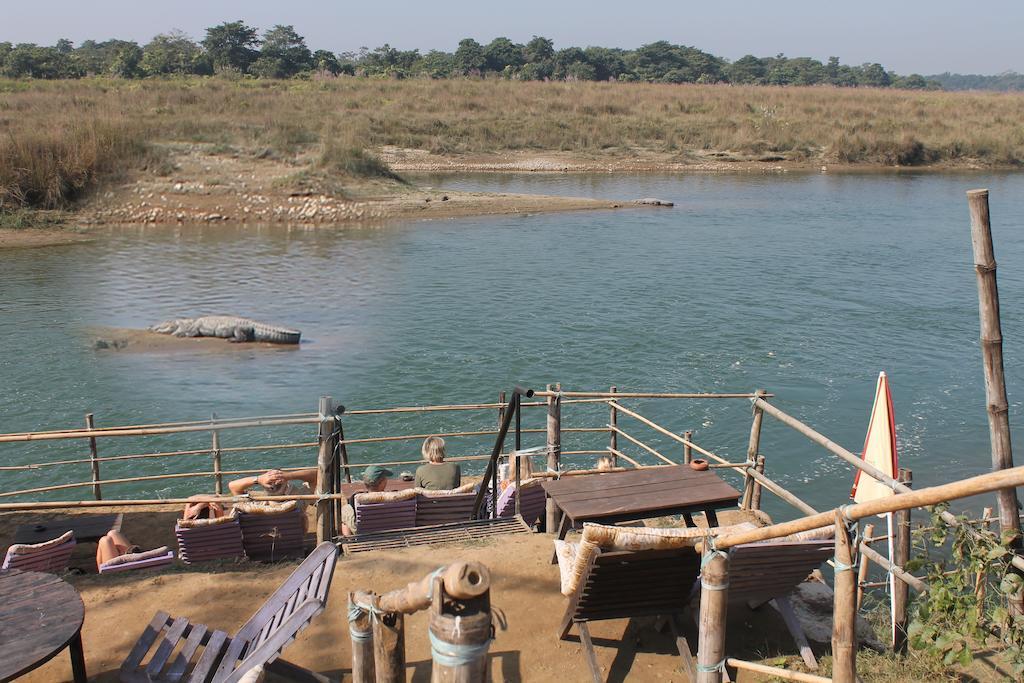 Chitwan Safari Camp & Lodge โซราฮา ภายนอก รูปภาพ