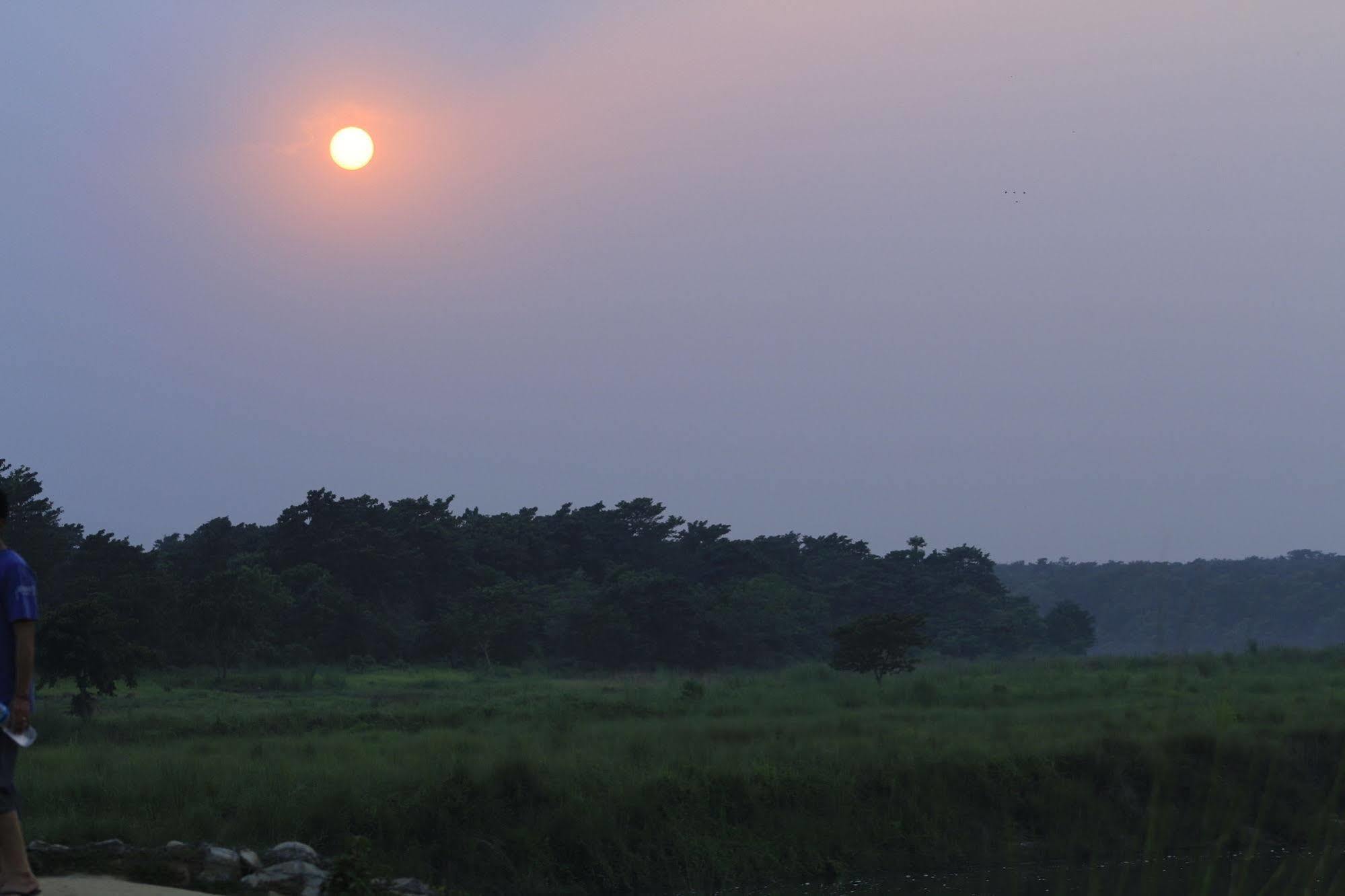 Chitwan Safari Camp & Lodge โซราฮา ภายนอก รูปภาพ